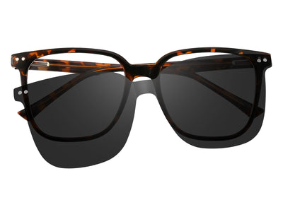 Vivid Snap-Oversized Eyewear