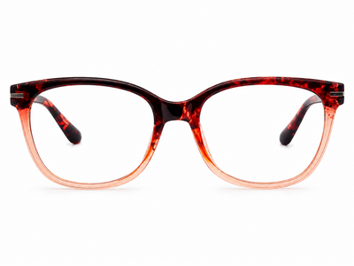 NEW IN