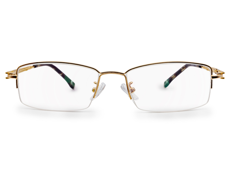 Echo Browline Rectangle Glasses