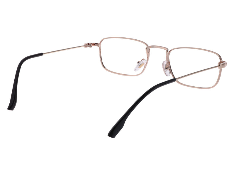 Leslie Rectangle Reading Glasses